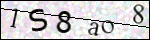 Human Confirmation Code (Captcha)