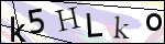 Human Confirmation Code (Captcha)
