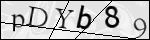 Human Confirmation Code (Captcha)