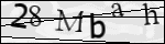 Human Confirmation Code (Captcha)
