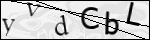 Human Confirmation Code (Captcha)