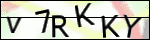 Human Confirmation Code (Captcha)