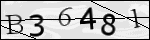Human Confirmation Code (Captcha)