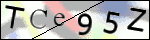 Human Confirmation Code (Captcha)