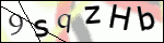 Human Confirmation Code (Captcha)