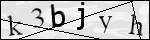 Human Confirmation Code (Captcha)