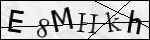 Human Confirmation Code (Captcha)