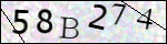Human Confirmation Code (Captcha)
