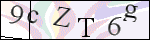 Human Confirmation Code (Captcha)