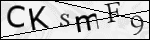 Human Confirmation Code (Captcha)