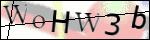 Human Confirmation Code (Captcha)