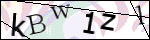Human Confirmation Code (Captcha)