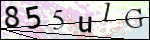 Human Confirmation Code (Captcha)