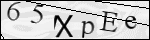 Human Confirmation Code (Captcha)