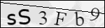 Human Confirmation Code (Captcha)