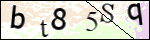 Human Confirmation Code (Captcha)