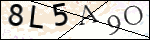 Human Confirmation Code (Captcha)