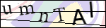 Human Confirmation Code (Captcha)
