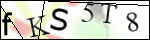Human Confirmation Code (Captcha)