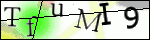 Human Confirmation Code (Captcha)