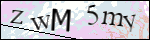 Human Confirmation Code (Captcha)