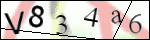 Human Confirmation Code (Captcha)