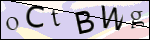 Human Confirmation Code (Captcha)
