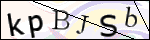 Human Confirmation Code (Captcha)