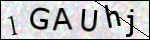 Human Confirmation Code (Captcha)