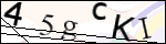 Human Confirmation Code (Captcha)
