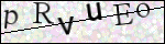Human Confirmation Code (Captcha)