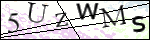 Human Confirmation Code (Captcha)