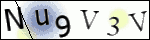 Human Confirmation Code (Captcha)