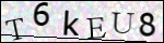 Human Confirmation Code (Captcha)