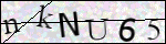 Human Confirmation Code (Captcha)