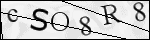 Human Confirmation Code (Captcha)