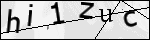 Human Confirmation Code (Captcha)
