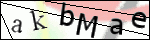 Human Confirmation Code (Captcha)