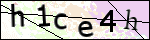 Human Confirmation Code (Captcha)