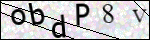 Human Confirmation Code (Captcha)