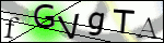Human Confirmation Code (Captcha)