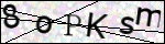Human Confirmation Code (Captcha)
