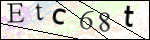 Human Confirmation Code (Captcha)
