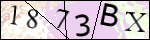 Human Confirmation Code (Captcha)