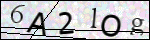 Human Confirmation Code (Captcha)