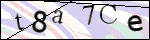 Human Confirmation Code (Captcha)