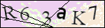 Human Confirmation Code (Captcha)