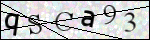 Human Confirmation Code (Captcha)