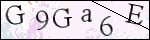 Human Confirmation Code (Captcha)