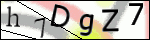 Human Confirmation Code (Captcha)